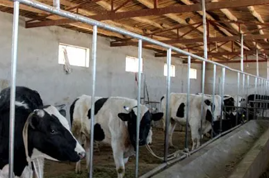 內(nèi)蒙古中谷良種奶牛有限公司改擴(kuò)建項(xiàng)目